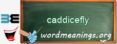 WordMeaning blackboard for caddicefly